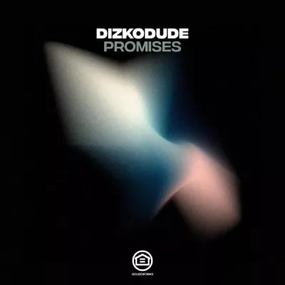 Dizkodude