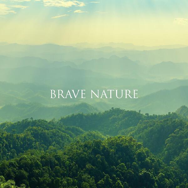 Nature Collection