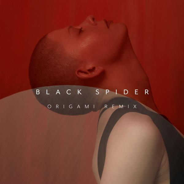 Альбом Black Spider (Origami Remix) исполнителя Kovacs