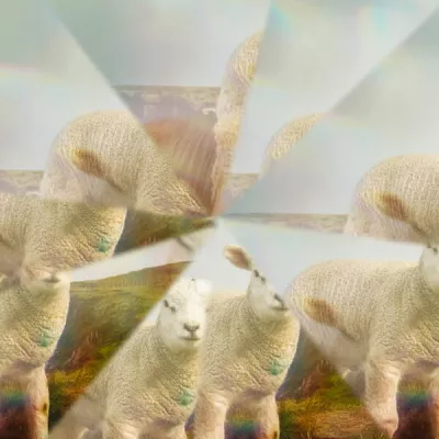 Thrive Worship