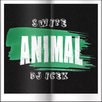 DJ ICEK'