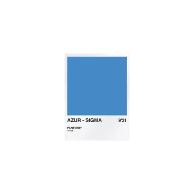 44Raid