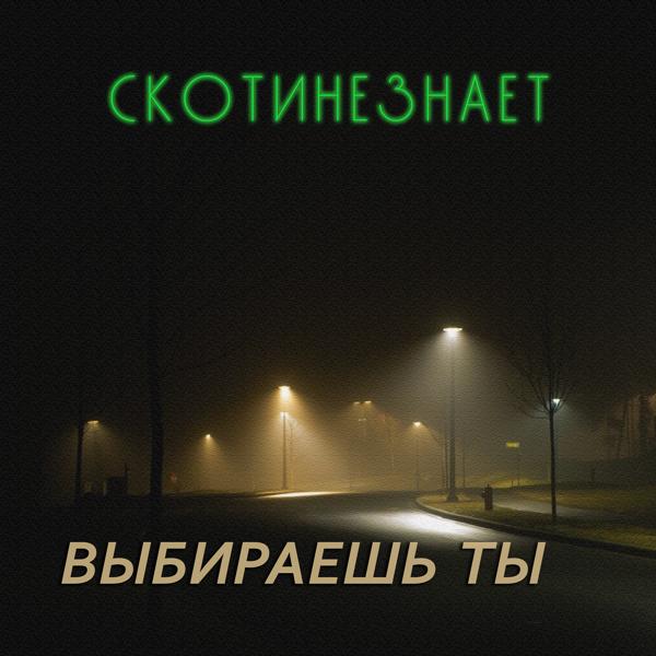 СКОТИНЕЗНАЕТ - Выбираешь ты
