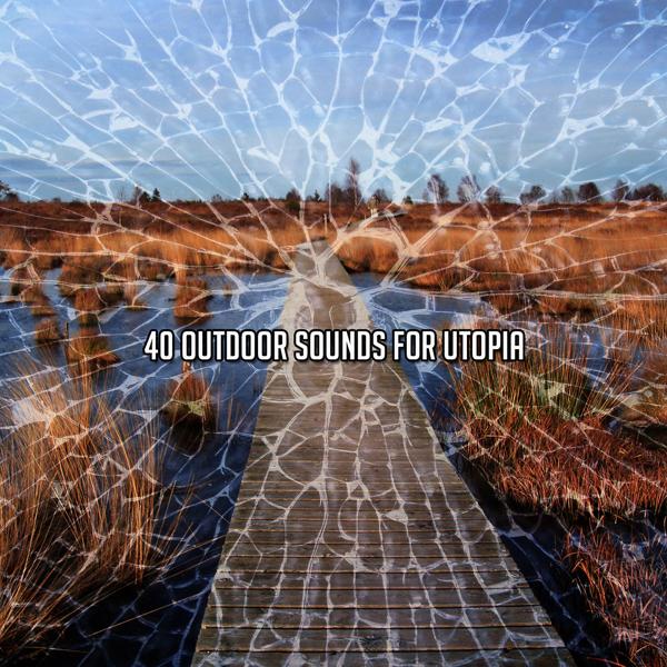 40 уличных звуков для утопии