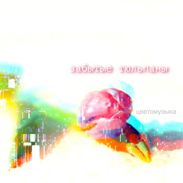 Цветомузыка - Я тебя найду