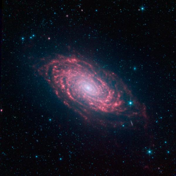 Альбом My Universe исполнителя Nebiros Nebiroo