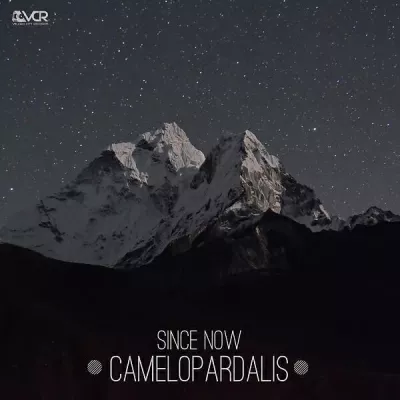 Since Now все песни в mp3