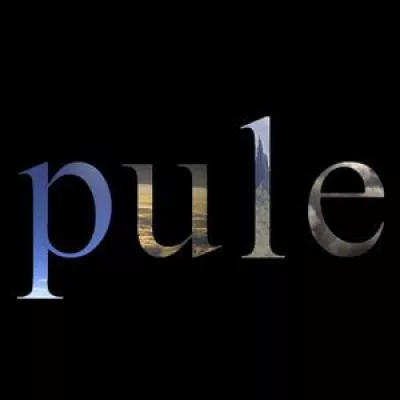 Pule