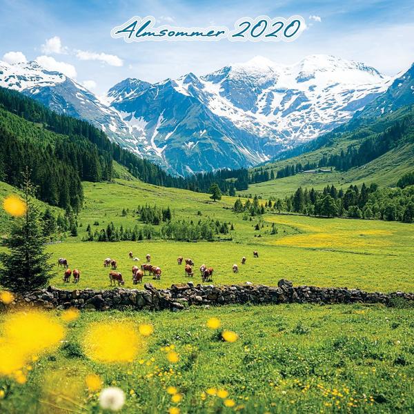 Альбом Almsommer 2020 исполнителя Various Artists