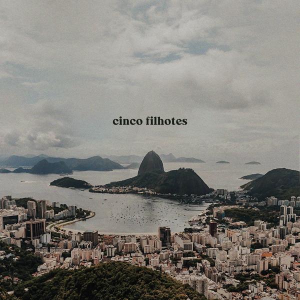 cinco filhotes