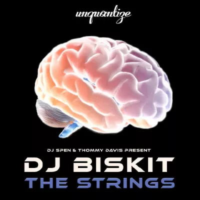 Dj Biskit