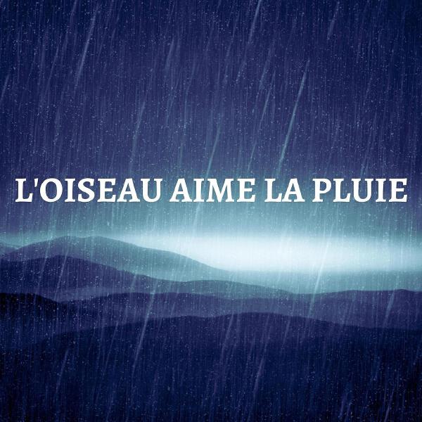 Collectes De Pluie все песни в mp3