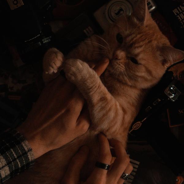 Аляска все песни в mp3