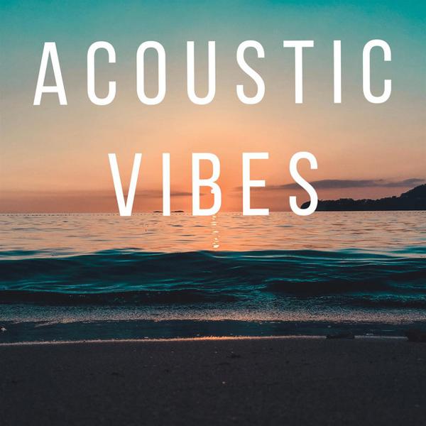 Альбом Acoustic Vibes исполнителя Various Artists