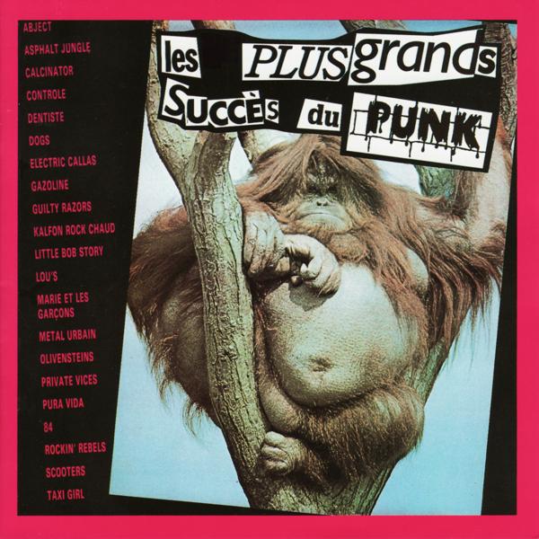 Альбом Les Plus Grands Succes du Punk исполнителя Various Artists
