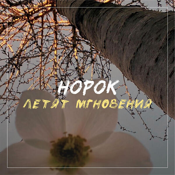 Норок все песни в mp3