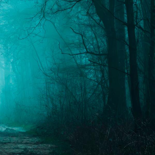 BORFLY все песни в mp3