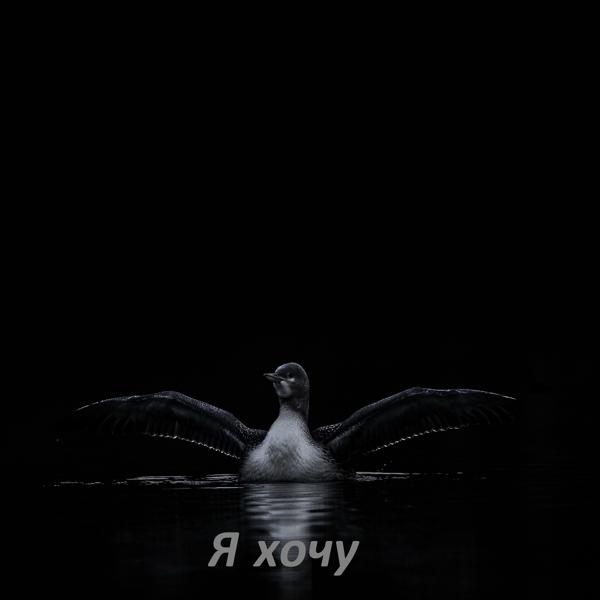 Я хочу