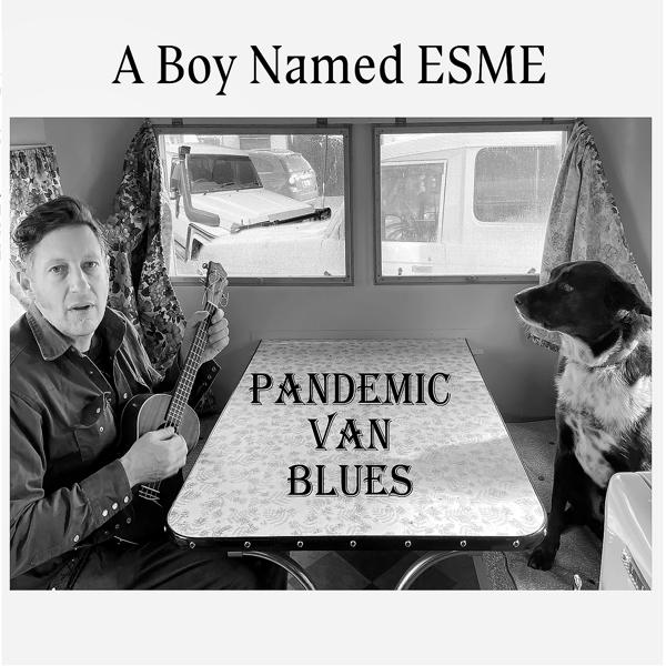 Pandemic Van Blues