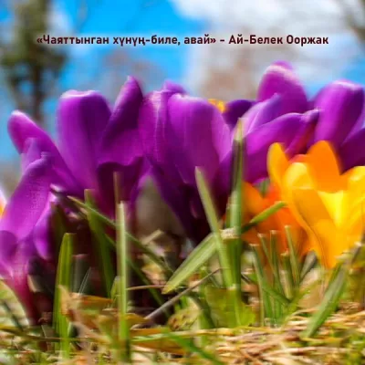 Ай-Белек Ооржак все песни в mp3