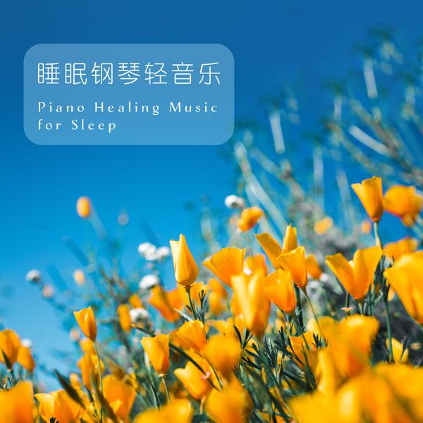 Альбом Piano Healing Music for Sleep исполнителя Various Artists