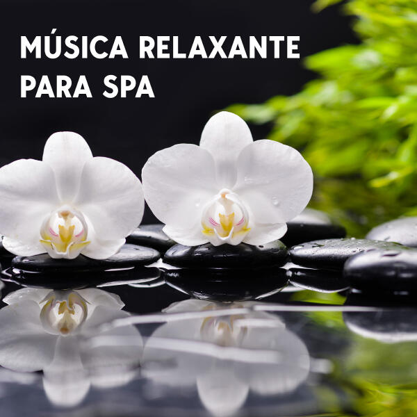 Musica para Meditacion Profunda все песни в mp3