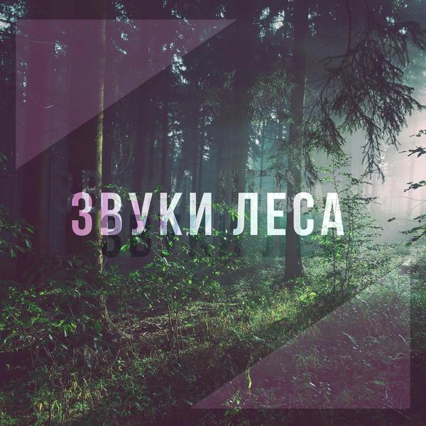 Хорошие звуки для ума и тела все песни в mp3