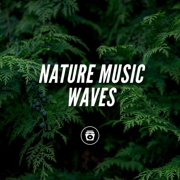 Nature Therapy все песни в mp3