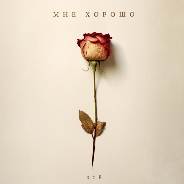 мне хорошо