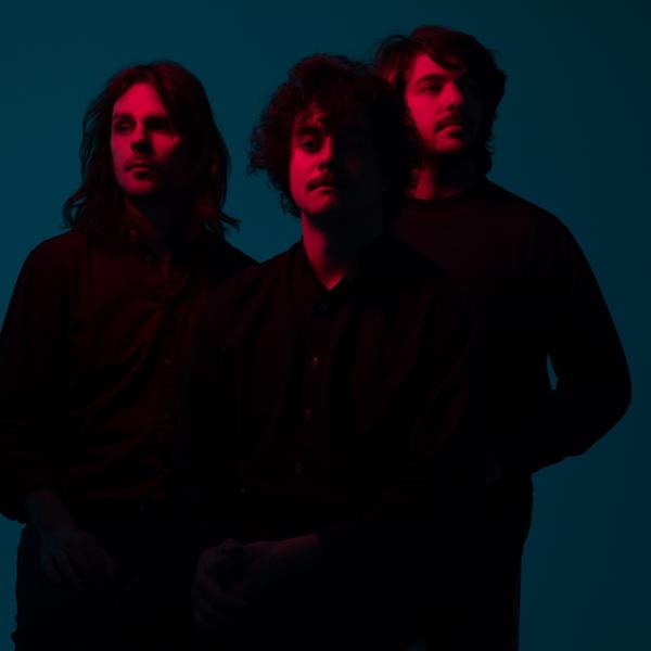 The Districts