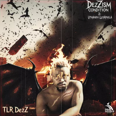 TLR DezZ