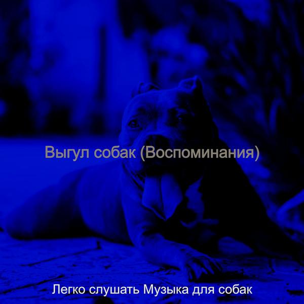 Легко слушать Музыка для собак - Музыка (Выгул собак)