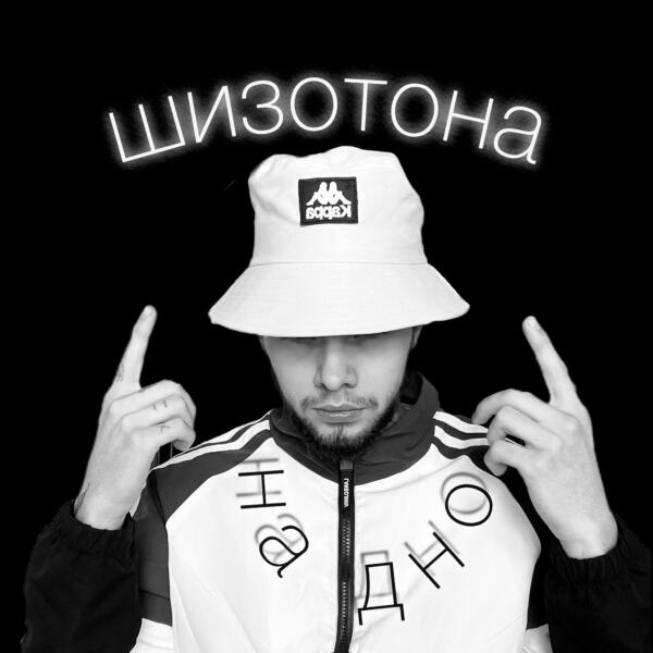 шизотона