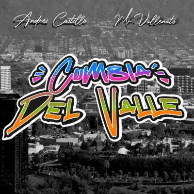 Mr. Vallenato