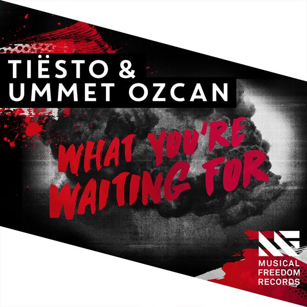 Tiësto, Ummet Ozcan - What You're Waiting For