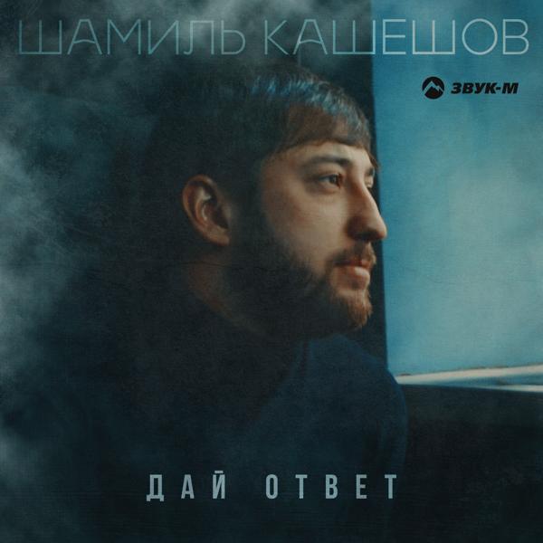 Шамиль Кашешов - Дай ответ