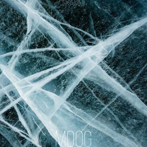 Альбом Moog исполнителя Skammi
