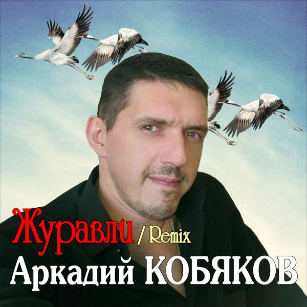 Аркадий Кобяков - Журавли (Remix)