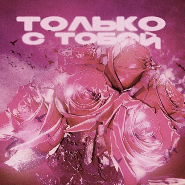 SENIORLINOR все песни в mp3