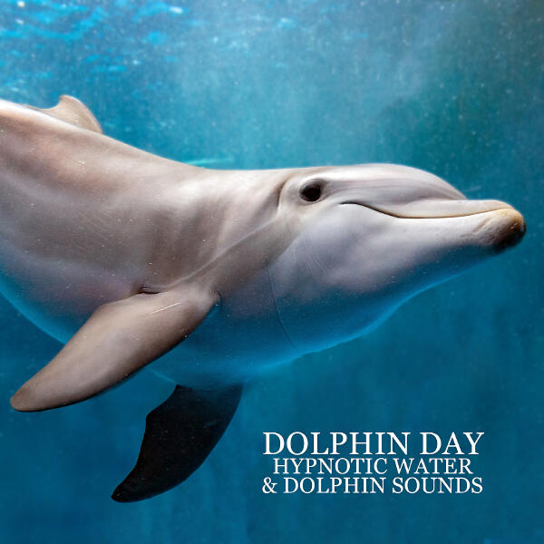 Healing Ocean Waves Zone все песни в mp3