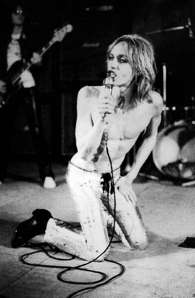 Iggy And The Stooges