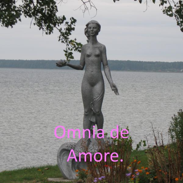 Omnia De Amore.