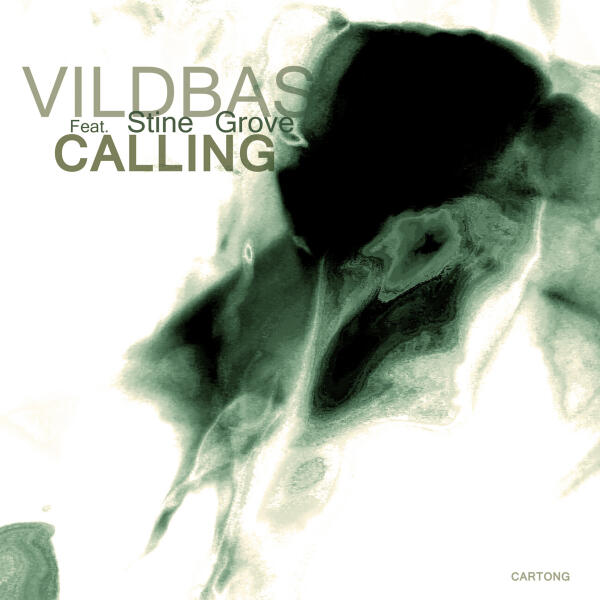 Vildbas