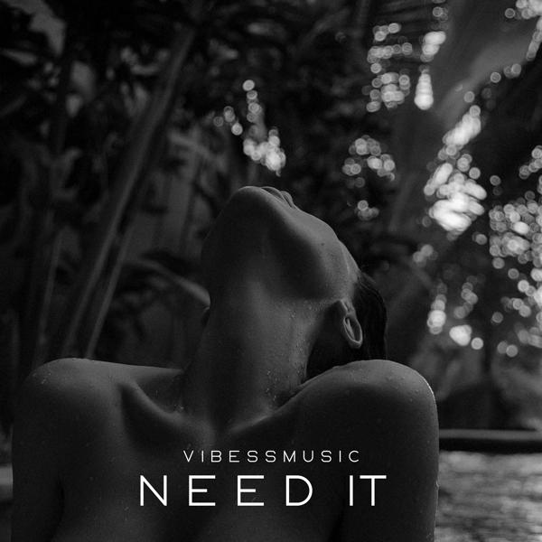 vibessmusic - Need It