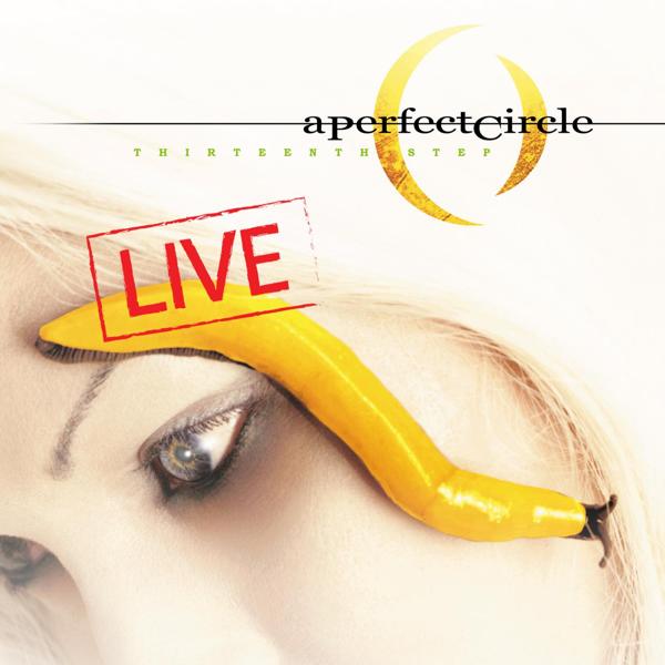 A Perfect Circle - A Stranger (Live)