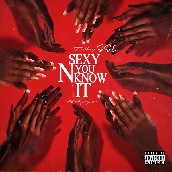 Fatboy SSE все песни в mp3