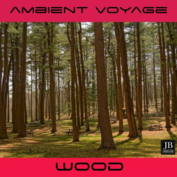 Альбом Ambient Voyage: Wood исполнителя Fly Project