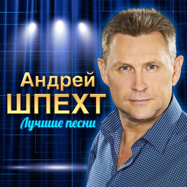 Андрей Шпехт - Ты мне говорила