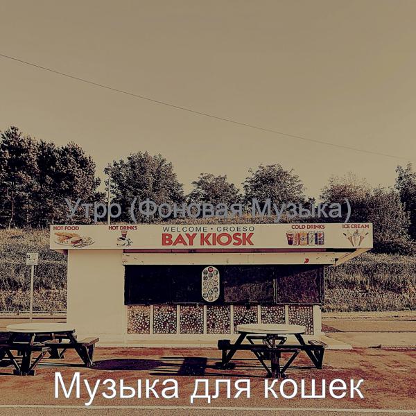 Альбом Утро (Фоновая Музыка) исполнителя Музыка для кошек