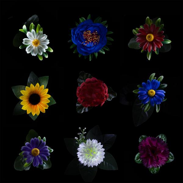 Dvanov, Печатная машина - богатый